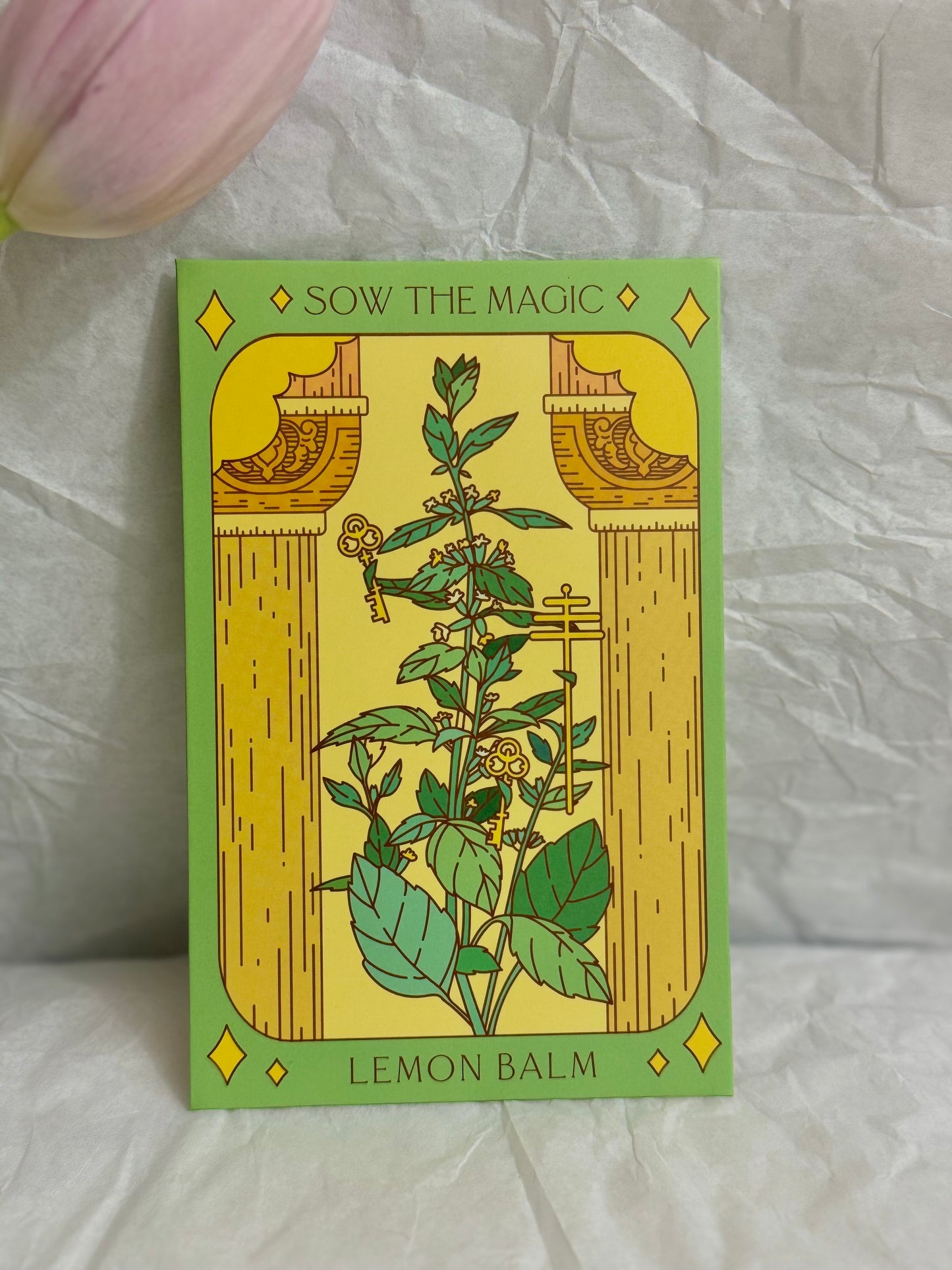 Sow The Magic Lemon Balm Tarot Garden + Gift Seed Packet