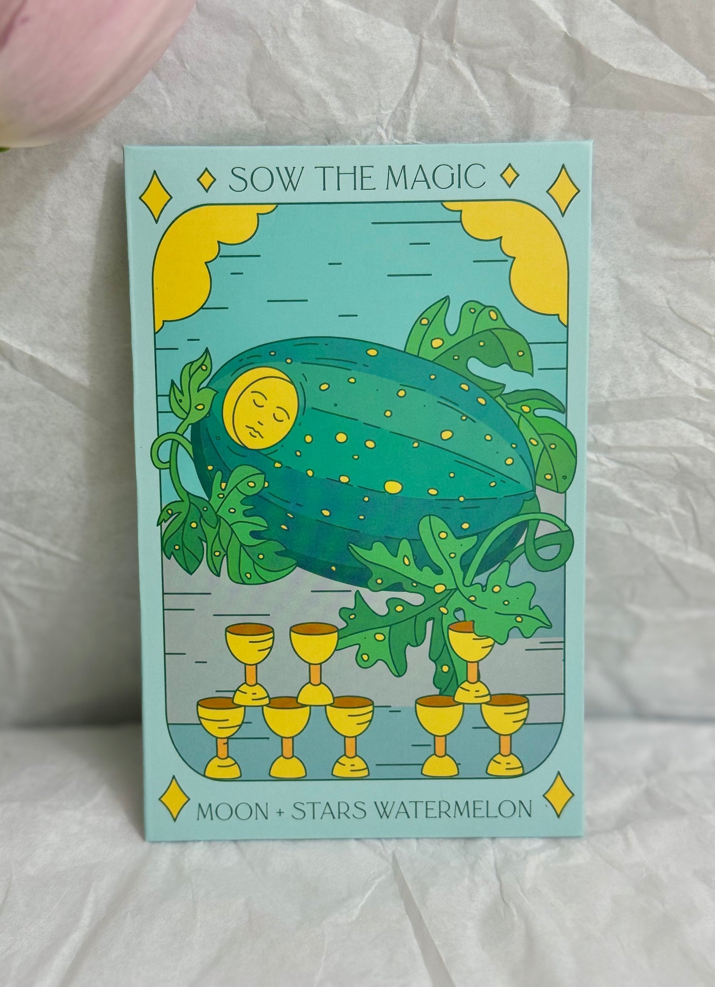 Sow The Magic Moon and Stars Watermelon Tarot Garden + Gift Seed Packet