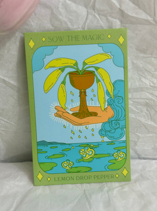 Sow The Magic Lemon Drop Pepper Tarot Garden + Gift Seed Packet