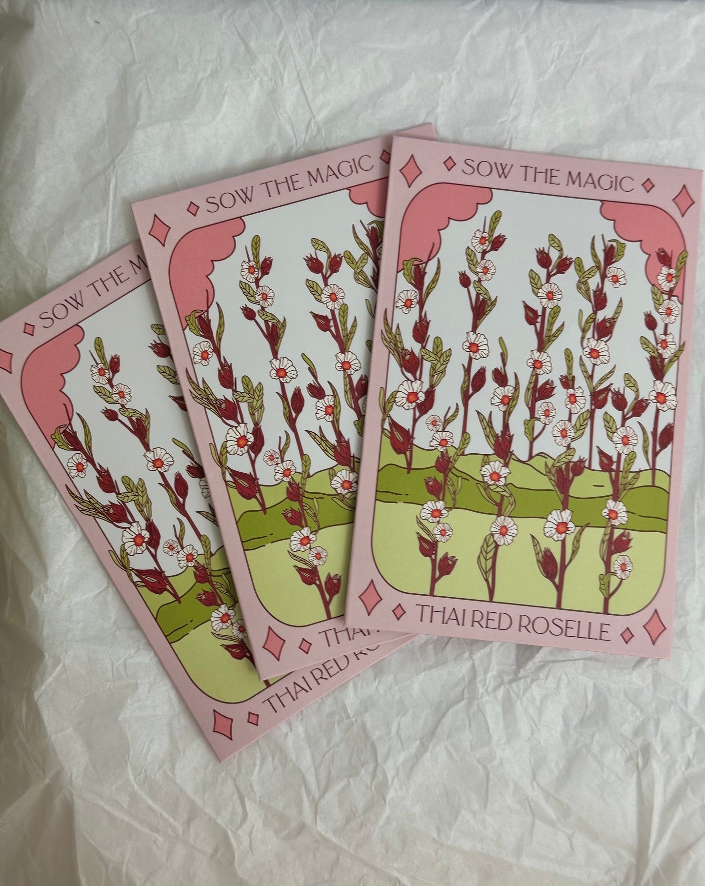 Sow The Magic Thai Red Roselle Hibiscus Tarot Garden + Gift Seed Packet