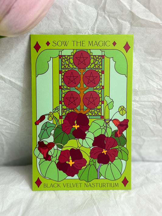 Sow The Magic Black Velvet Nasturtium Tarot Garden + Gift Seed Packet