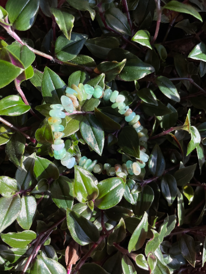 Chrysoprase Crystal Chip Bracelet