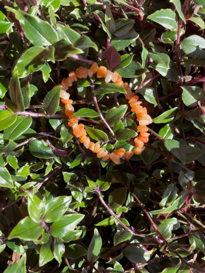 Peach Aventurine Crystal Chip Bracelet