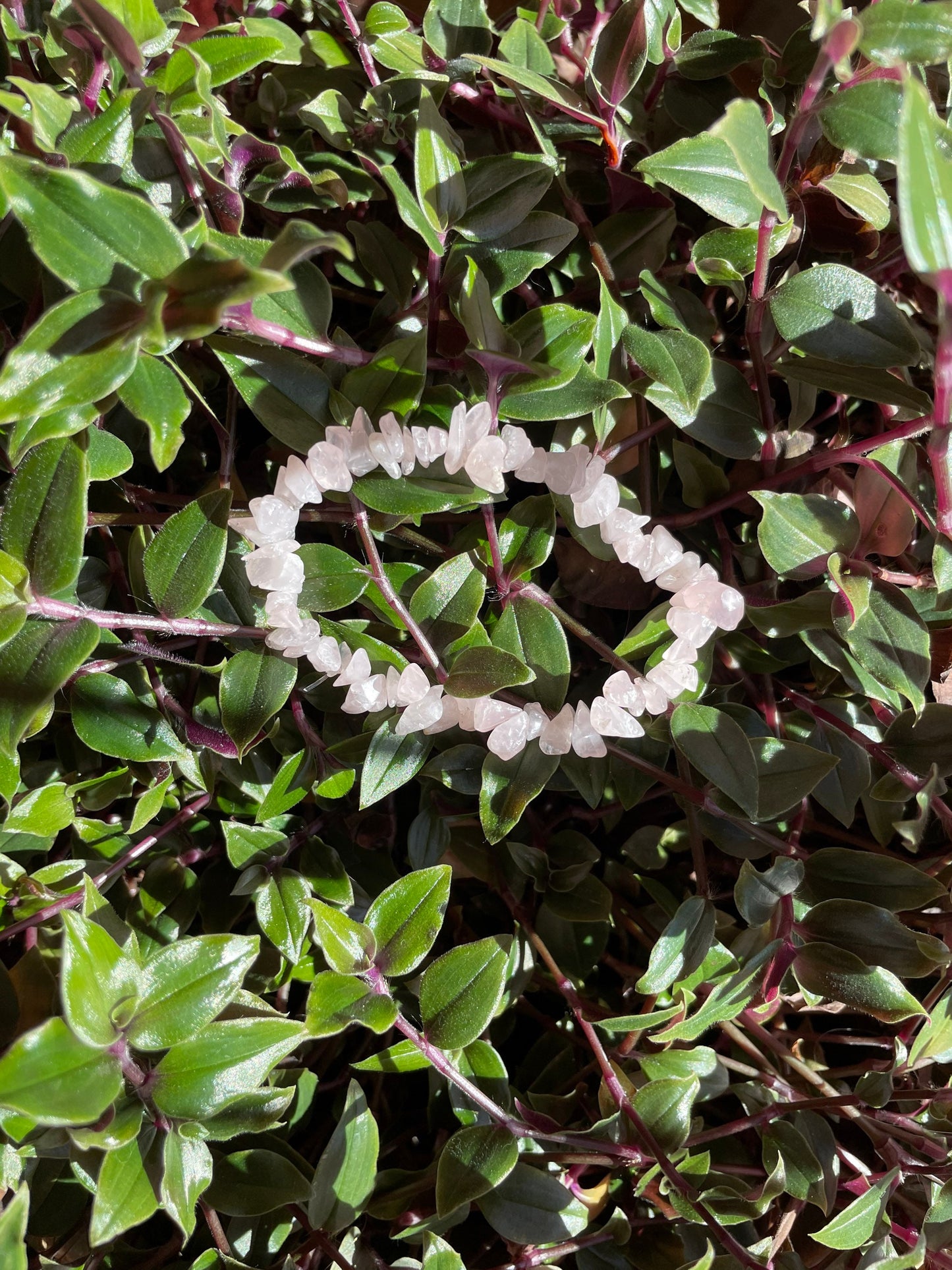 Rose Quartz Crystal Chip Bracelet