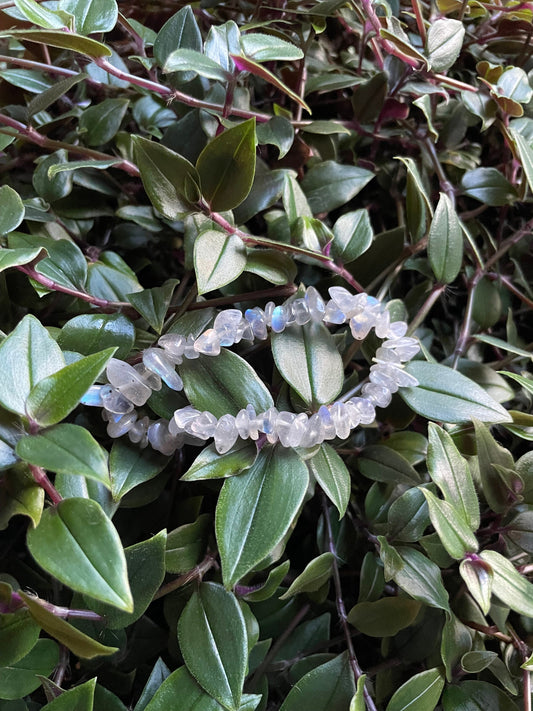 Labradorite Crystal Chip Bracelet