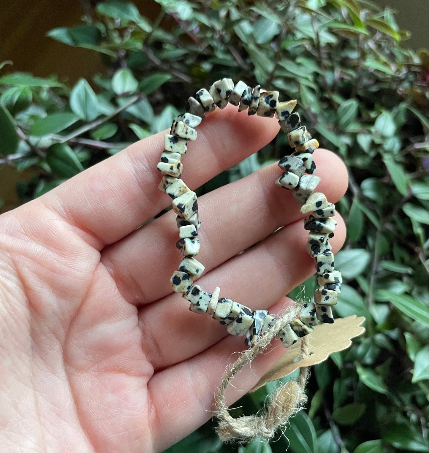 Dalmatian Jasper Crystal Chip Bracelet